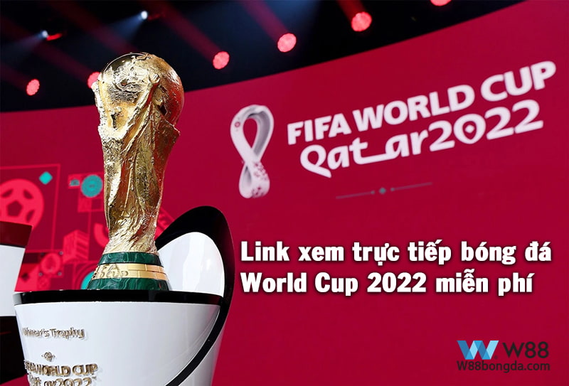 Link xem trực tiếp bóng đá World Cup 2022 miễn phí mới nhất hôm nay